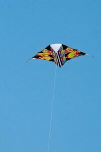 Families gathered along the oceanfront at Myrtle Beach State Park for a colorful day of kite flying during the annual Kite Festival.